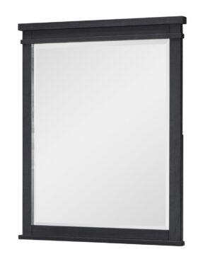 Flat Iron 1860 Mirror Black by Legacy Kids